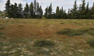 Terrain  2715 m² à vendre à Saint-Paul-Trois-Châteaux (26130)