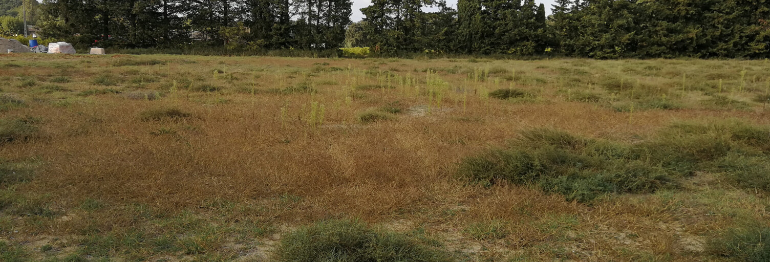 Terrain  2715 m² à vendre à Saint-Paul-Trois-Châteaux (26130)