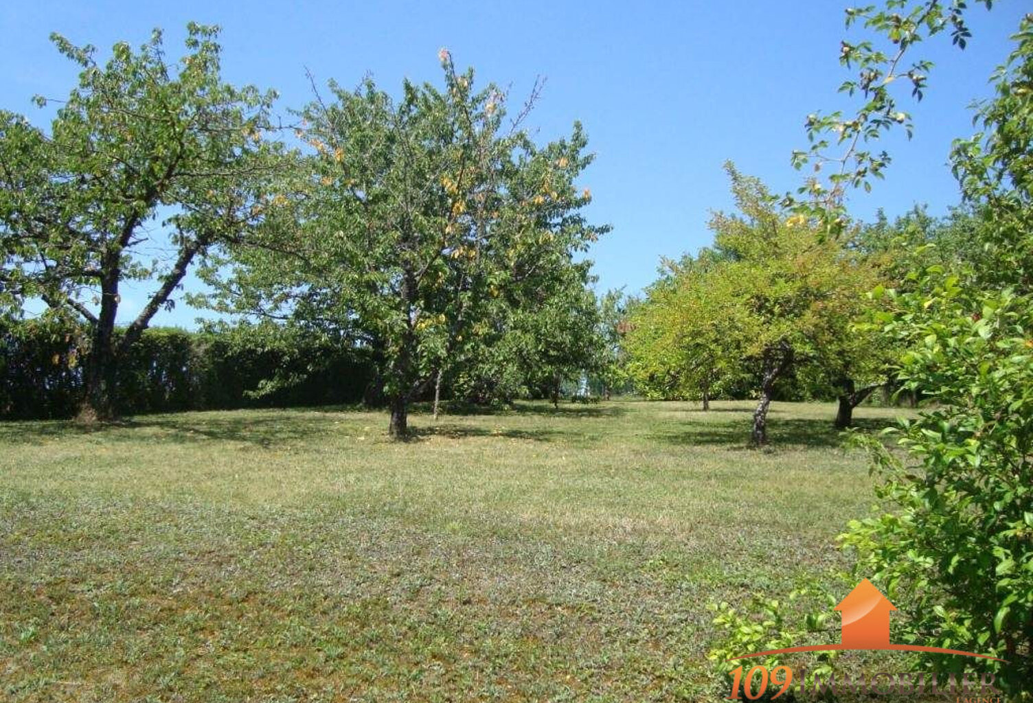Terrain à vendre Légny — photo 1