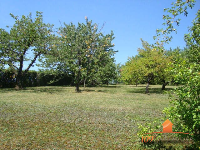 Terrain à vendre Légny — photo du bien