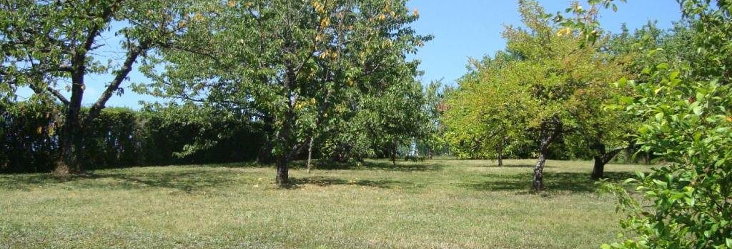 Terrain  715 m² à vendre à Légny (69620)