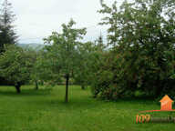 Terrain à vendre Légny — photo 2