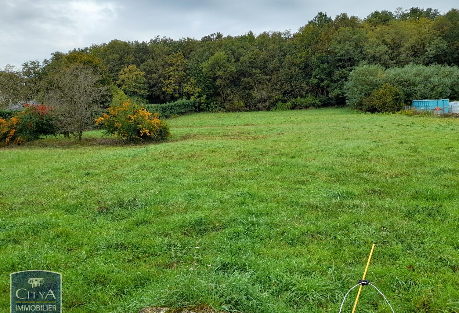 Vente terrain  4500 m² Le Blanc (36300) — photo 1
