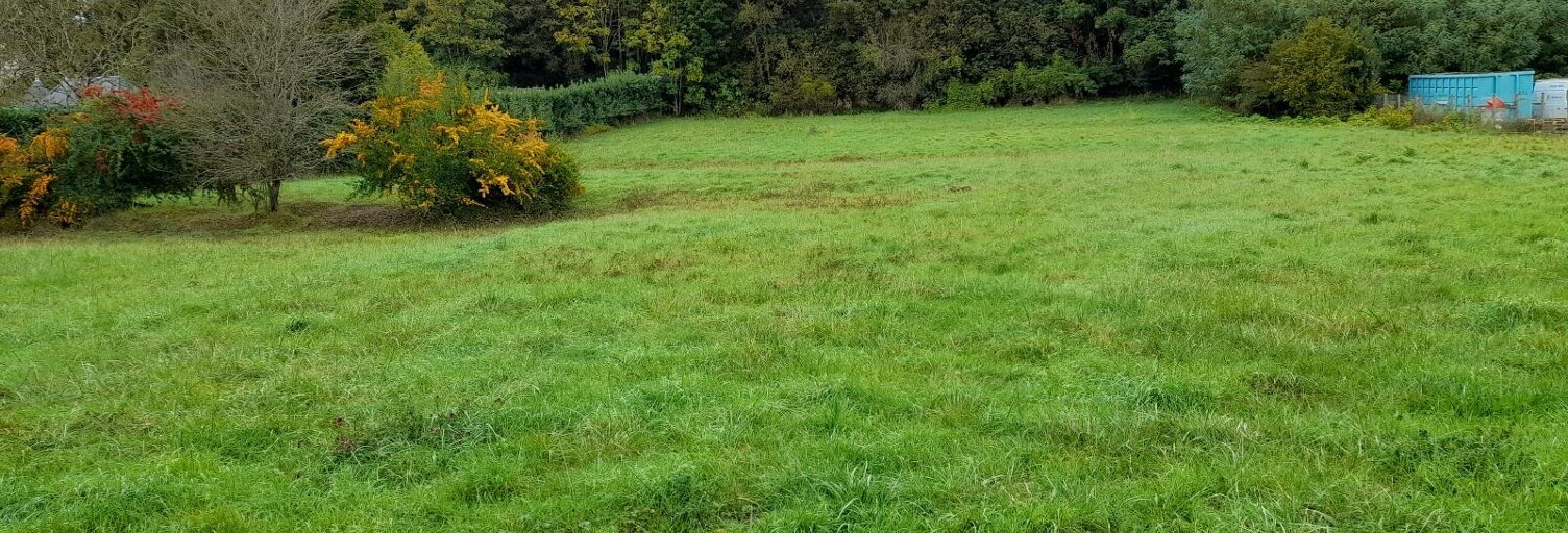 Terrain  4500 m² à vendre à Le Blanc (36300)