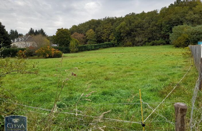 Vente terrain  4500 m² Le Blanc (36300) — photo 2