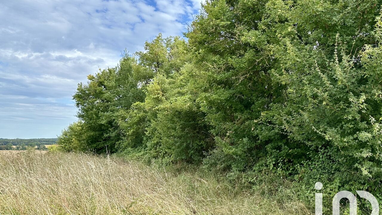 terrain  pièces 1100 m2 à vendre à Villequiers (18800)