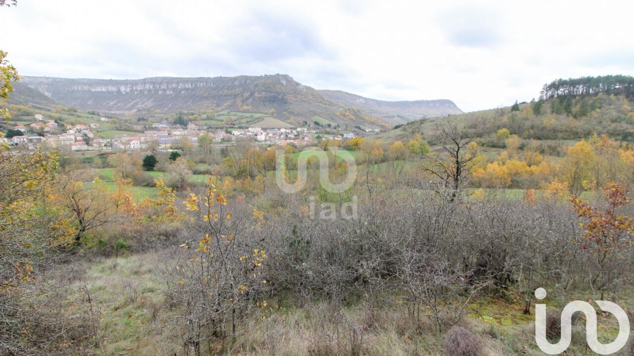 terrain  pièces 6602 m2 à vendre à Tournemire (12250)