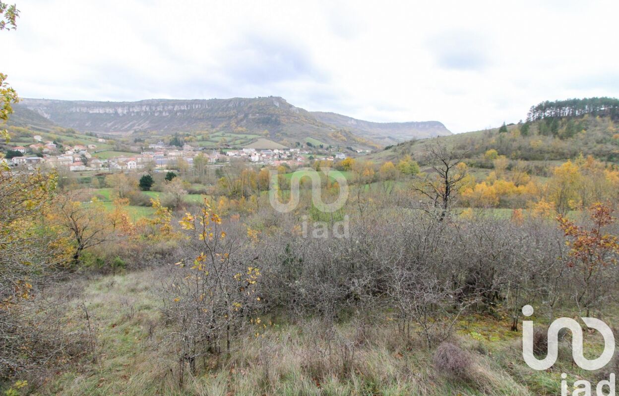 terrain  pièces 6602 m2 à vendre à Tournemire (12250)