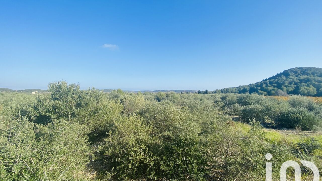 terrain  pièces 4910 m2 à vendre à Roquefort-des-Corbières (11540)