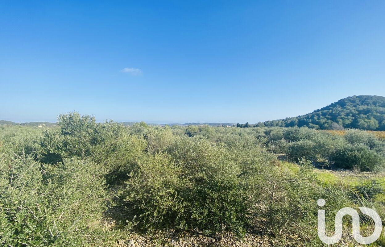 terrain  pièces 4910 m2 à vendre à Roquefort-des-Corbières (11540)