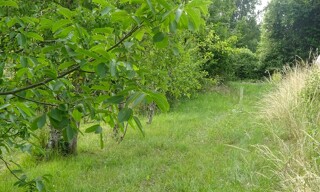 Photo N° 3