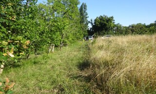 Photo N° 4
