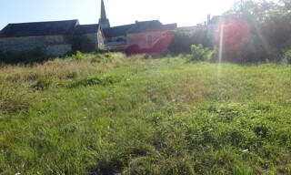 Photo N° 6