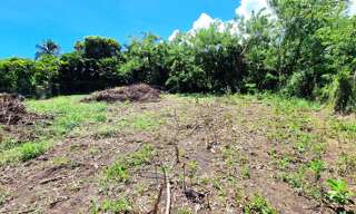 Terrain  1099 m² à vendre à Le Vauclin (97280)