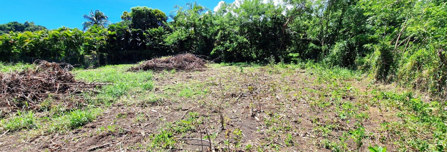 Terrain  1099 m² à vendre à Le Vauclin (97280)