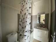 Appartement Castres 1 pièce(s) 18.75 m2 — photo 4