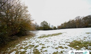 Photo N° 5