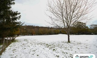 Photo N° 6