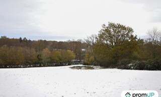 Photo N° 8