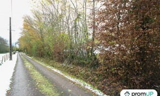 Photo N° 16