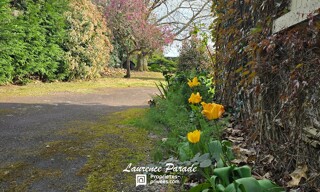 Photo N° 2
