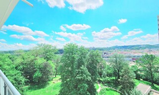 Photo N° 6