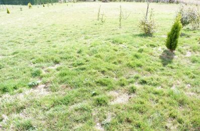 terrain  pièces 1500 m2 à vendre à Vierzon (18100)