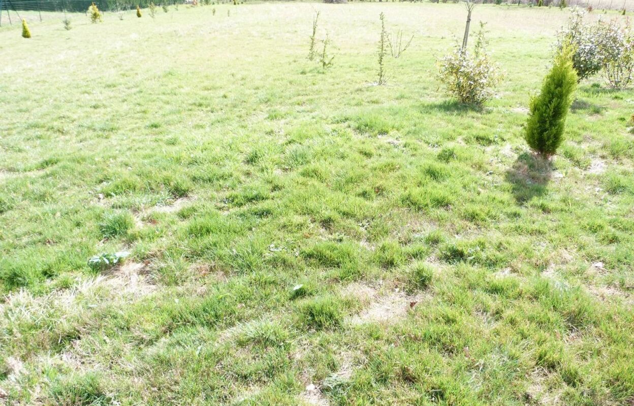 terrain  pièces 1500 m2 à vendre à Vierzon (18100)