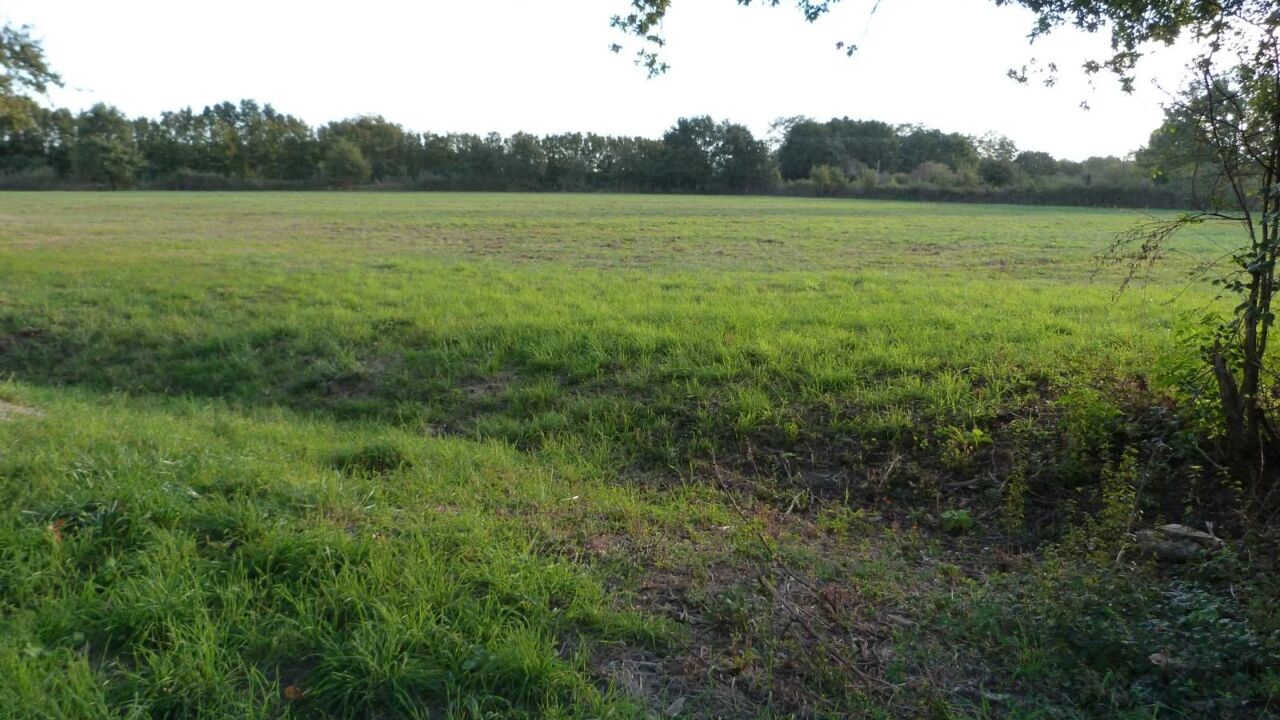 terrain  pièces 1190 m2 à vendre à Vierzon (18100)