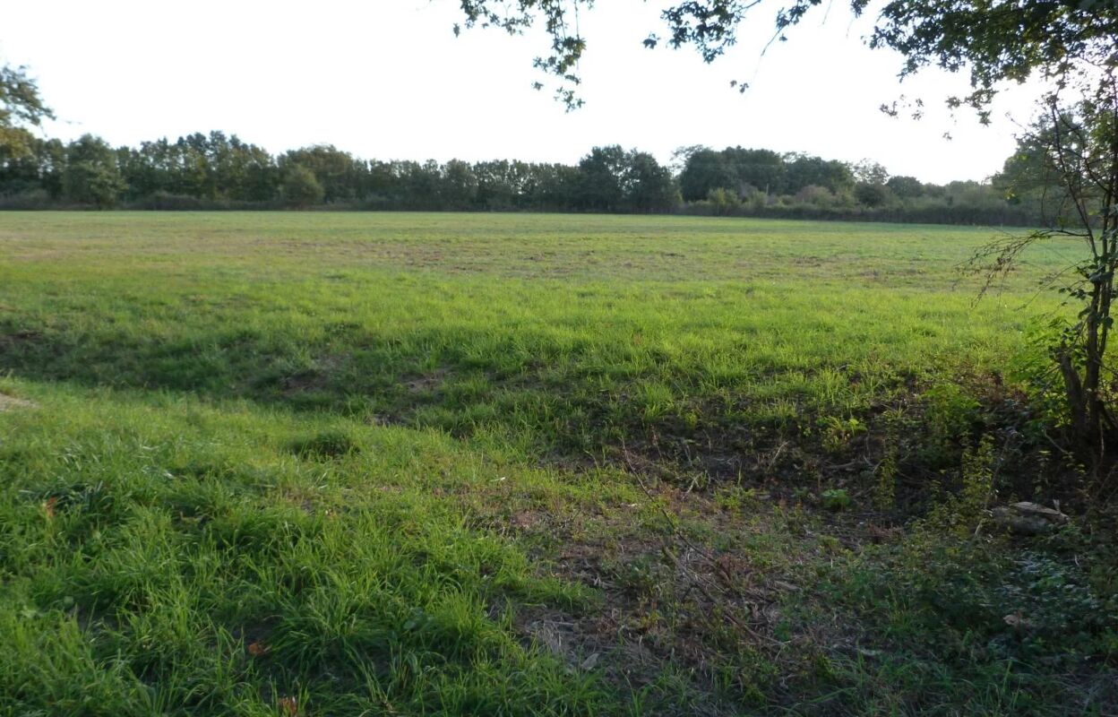 terrain  pièces 1190 m2 à vendre à Vierzon (18100)