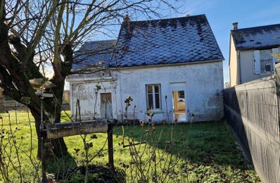 vente maison 56 000 € à proximité de Jouet-sur-l'Aubois (18320)