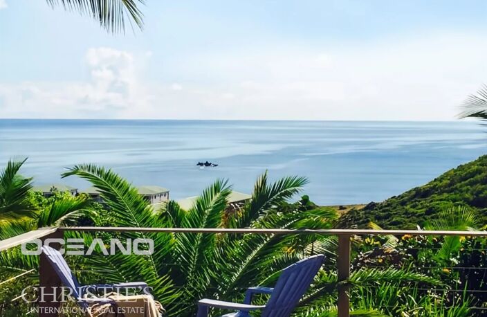 Exclusivité PARK VIEW -  VILLA VUE MER - OCEANO CHRISTIE'S INTERNATIONAL REAL ESTATE — photo 5
