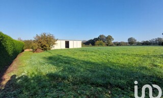 Photo N° 4