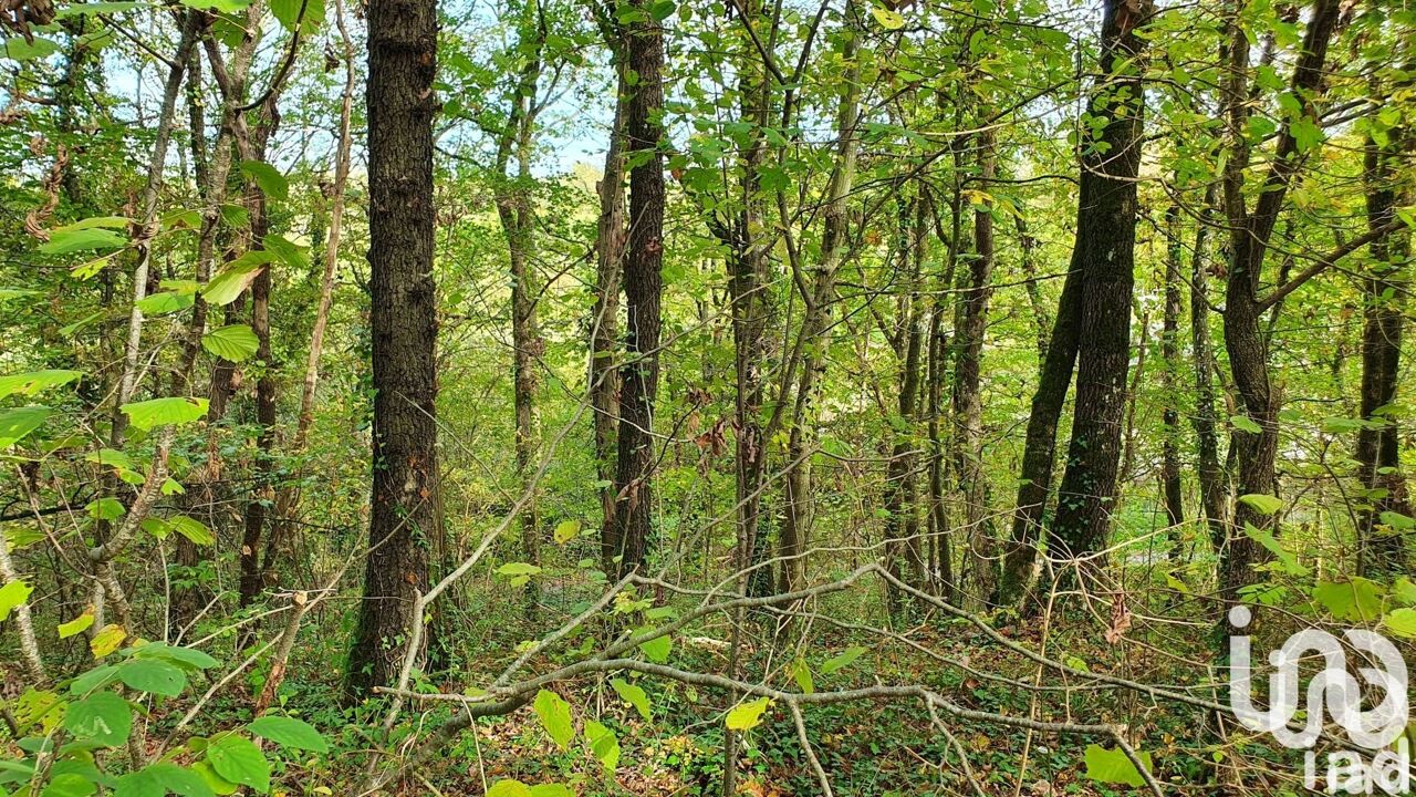 terrain  pièces 606 m2 à vendre à Moret-Loing-Et-Orvanne (77250)