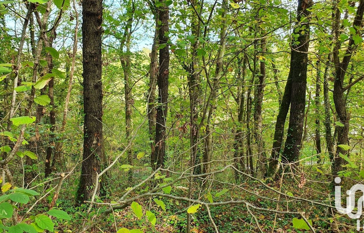 terrain  pièces 606 m2 à vendre à Moret-Loing-Et-Orvanne (77250)