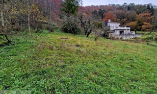 Photo N° 5