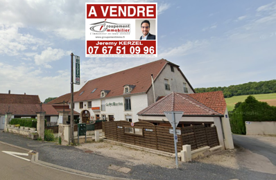 vente immeuble 325 500 € à proximité de Breuvannes-en-Bassigny (52240)