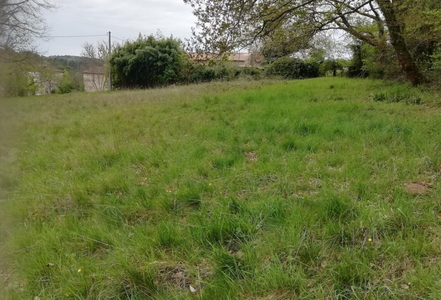 Terrain À Vendre — photo 1