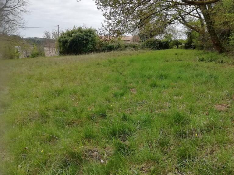 Terrain À Vendre — photo 1