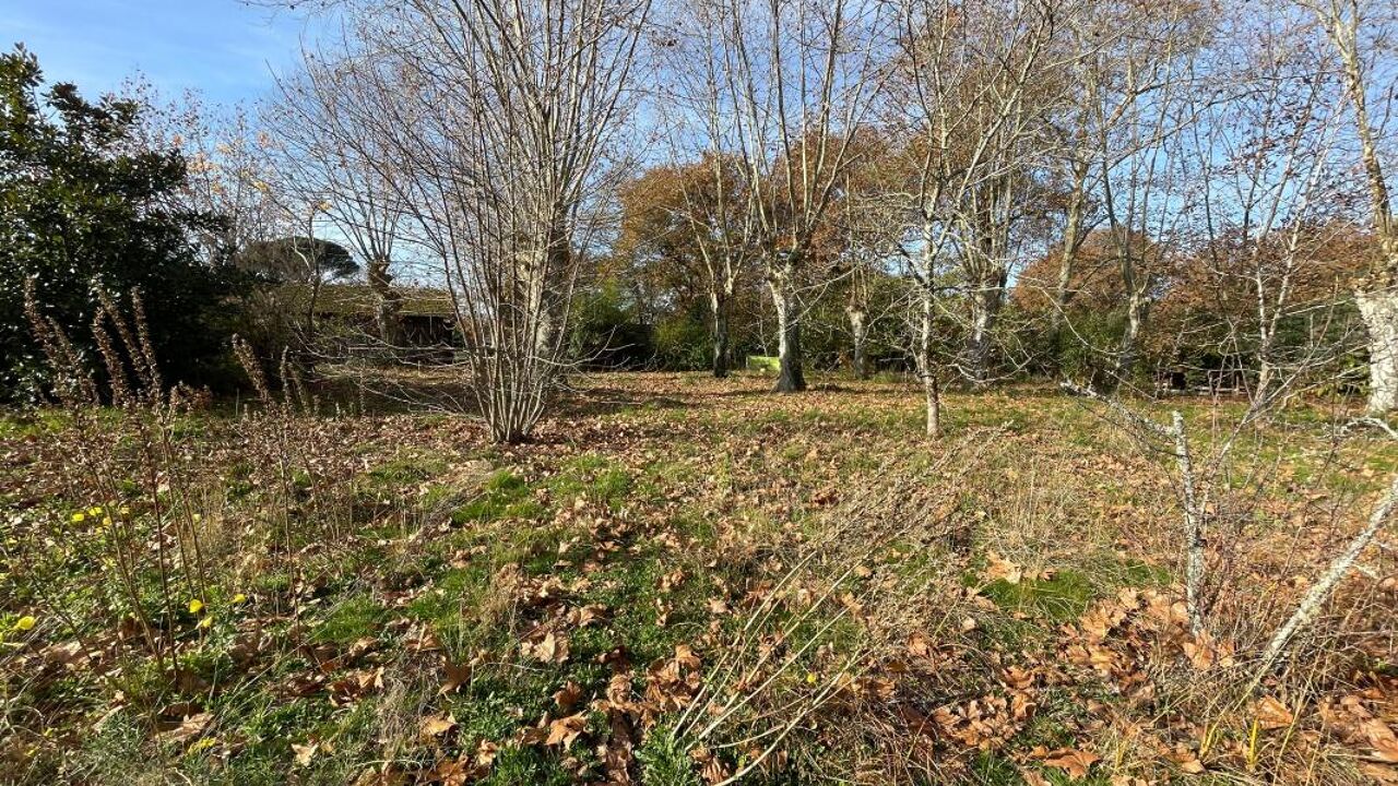 terrain  pièces 2190 m2 à vendre à Solférino (40210)