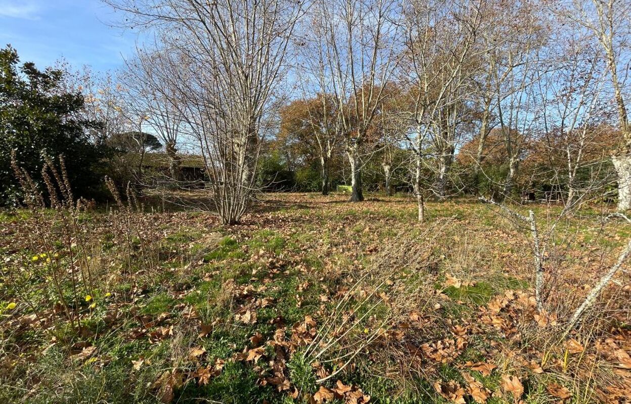 terrain  pièces 2190 m2 à vendre à Solférino (40210)