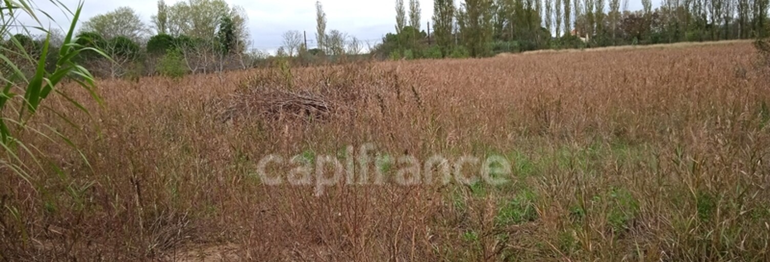 Terrain  6250 m² à vendre à Narbonne (11100)