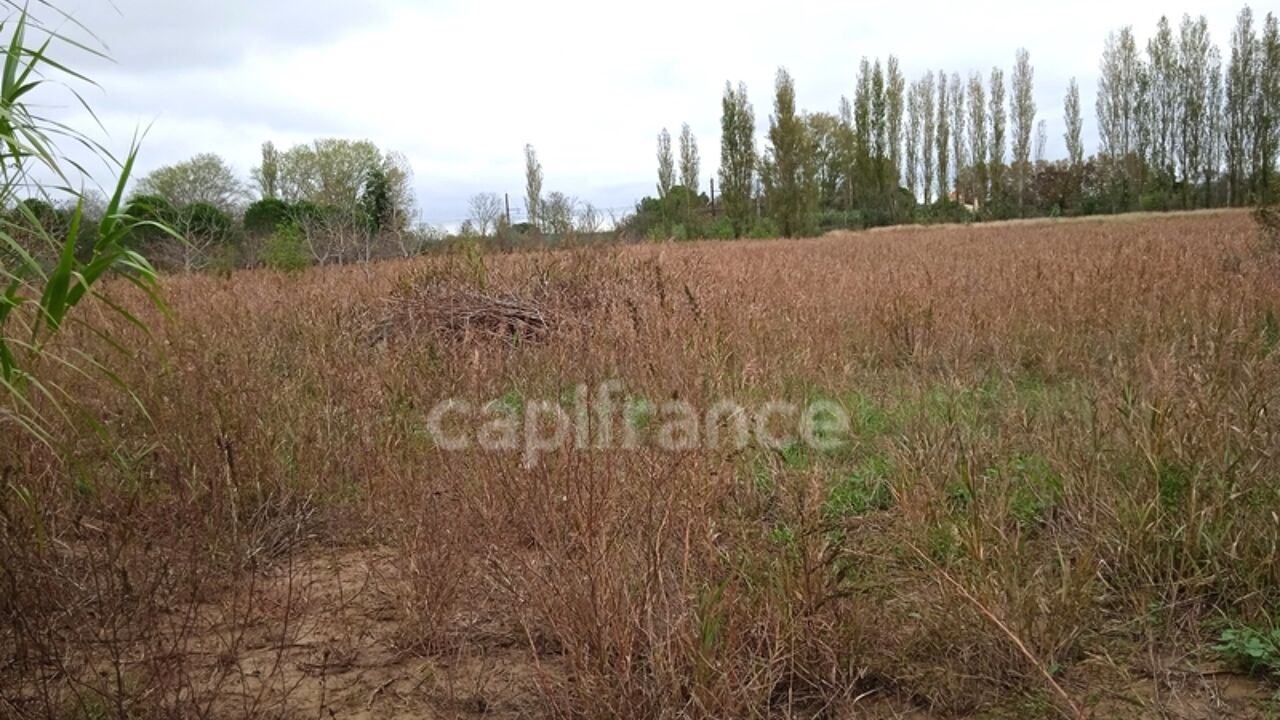 terrain  pièces 6250 m2 à vendre à Narbonne (11100)