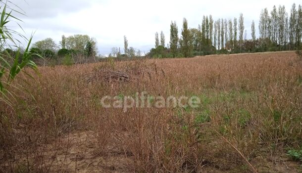 Terrain  à vendre Narbonne 11100