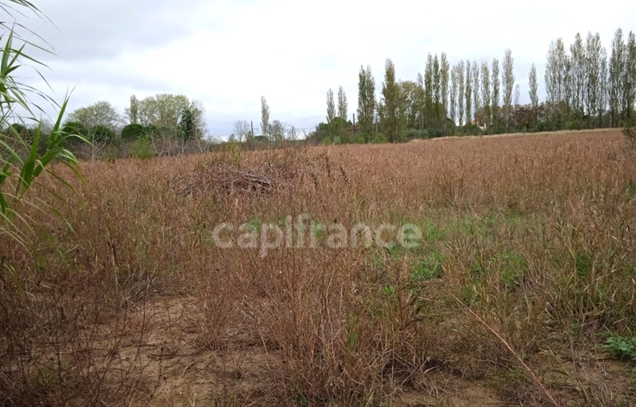 terrain  pièces 6250 m2 à vendre à Narbonne (11100)