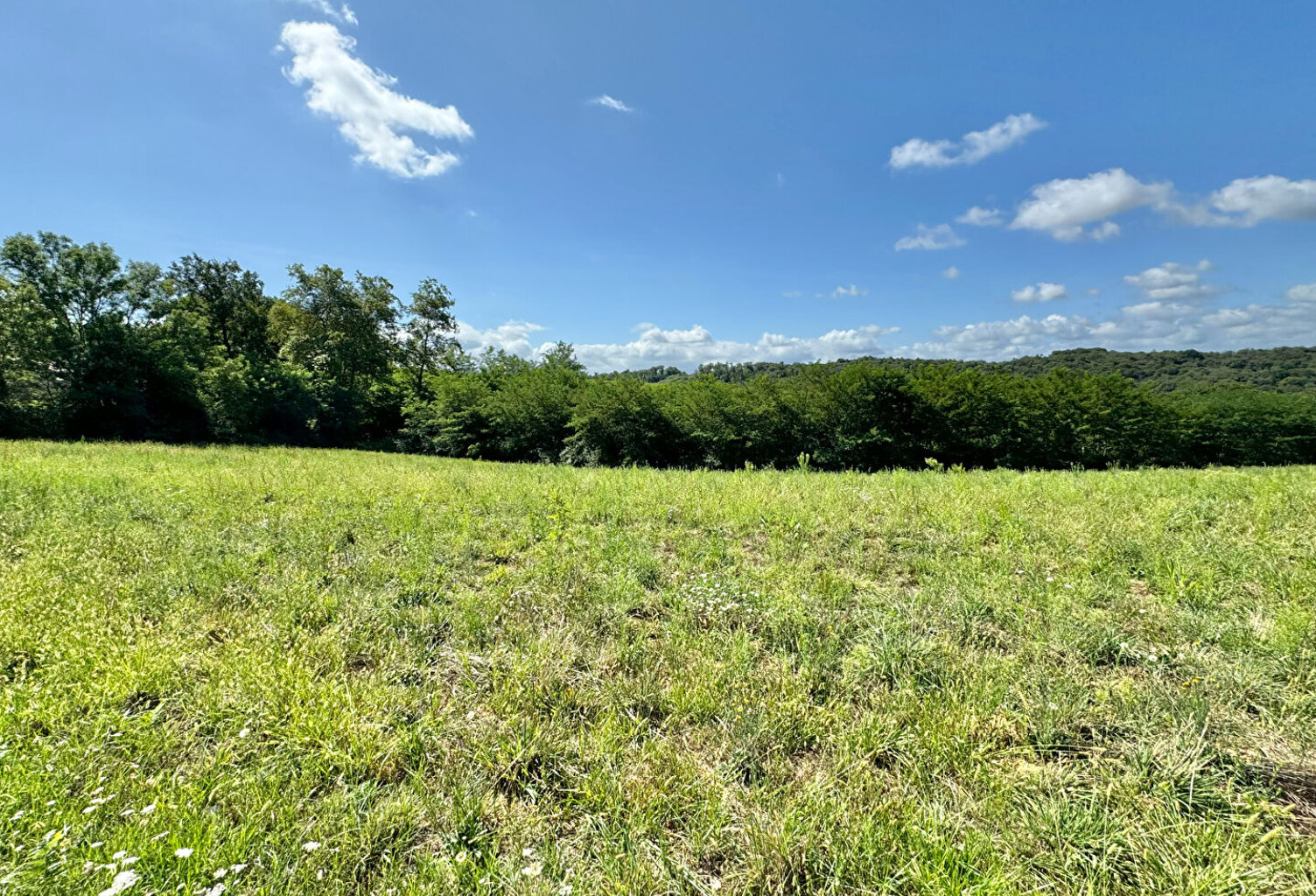 Terrain Cescau 2080 m2 — photo 1