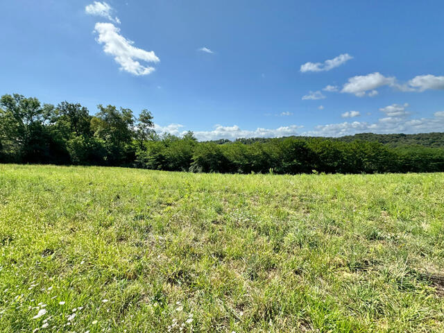 Terrain proposé à Cescau