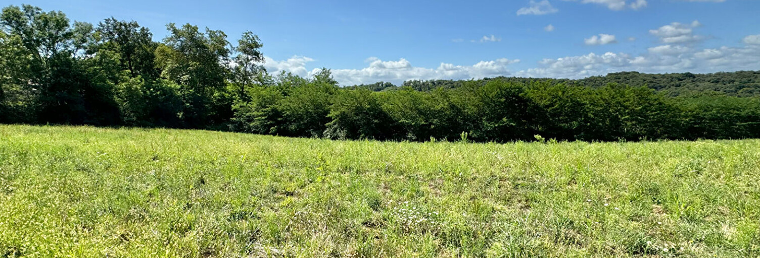 Terrain  2080 m² à vendre à Cescau (64170)