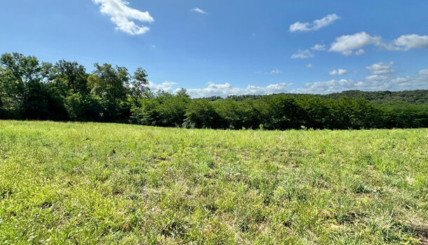 Terrain  à vendre Cescau 64170