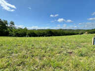 Terrain Cescau 2080 m2 — photo 2